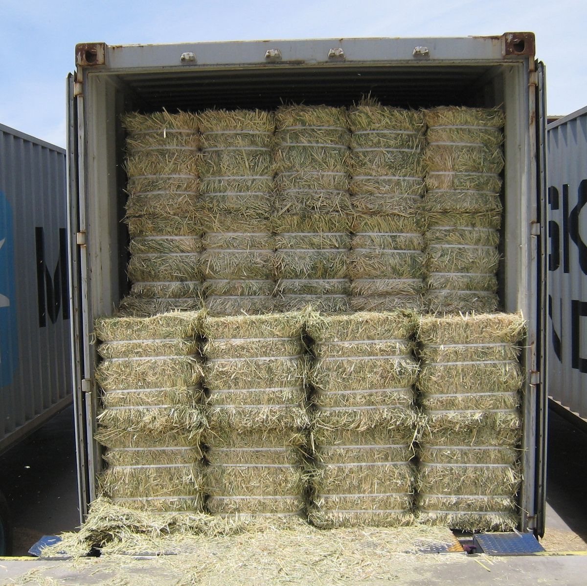 Container filled with strapped hay bales