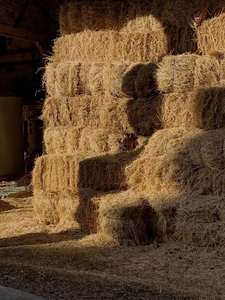 Fair grade forage bales